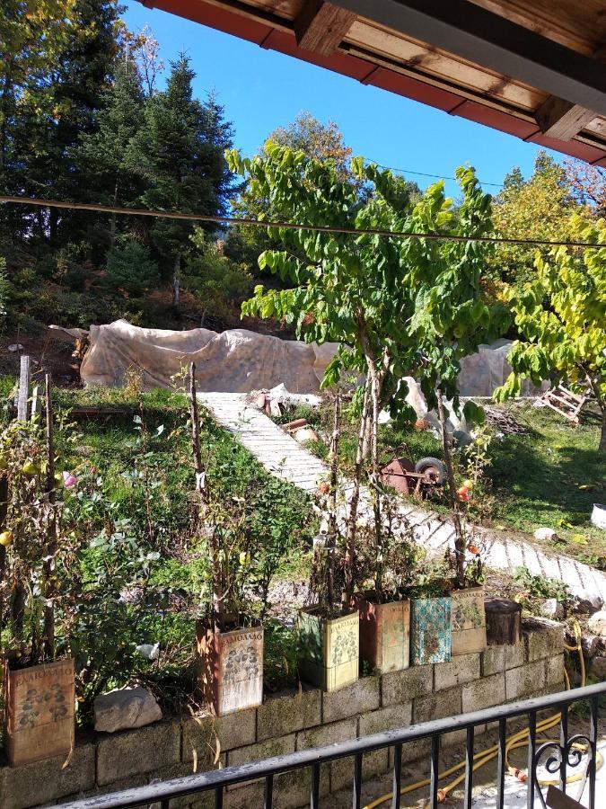 Elatos Rooms Mikro Chorio  Экстерьер фото