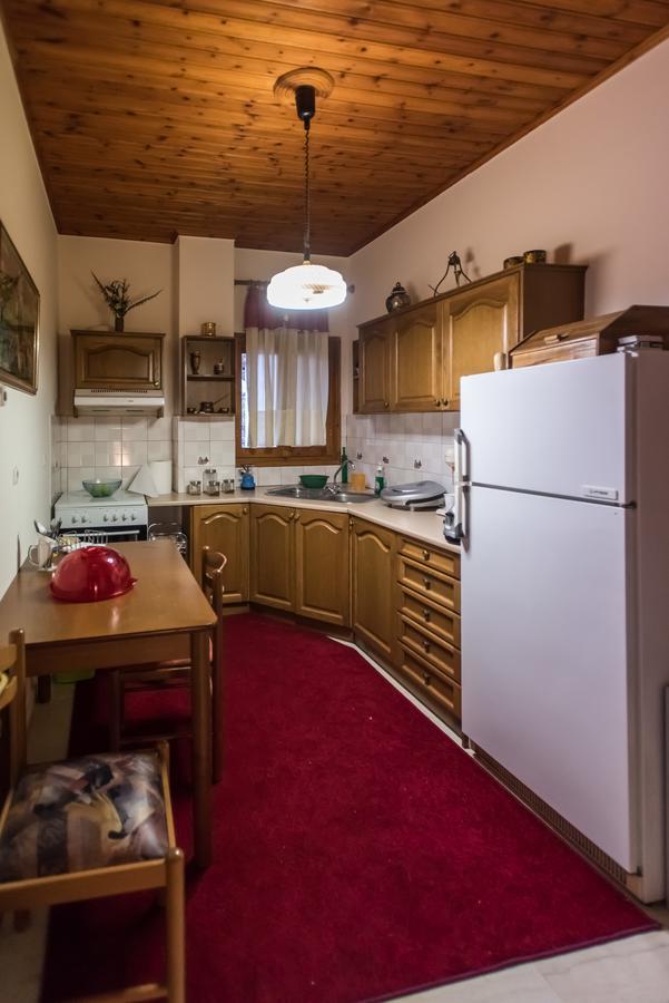 Elatos Rooms Mikro Chorio  Экстерьер фото